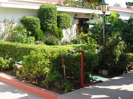 P1020024.JPG