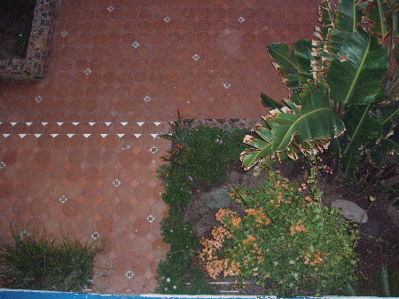 P1030015.JPG