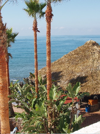 P1020004.JPG