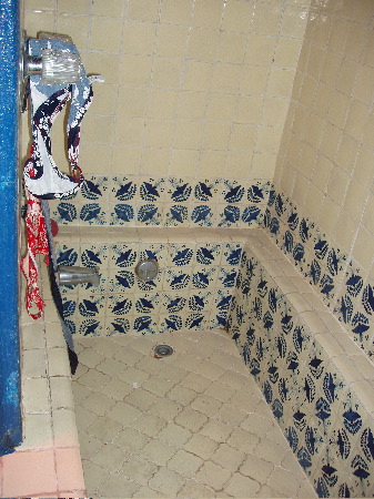 P1020023.JPG