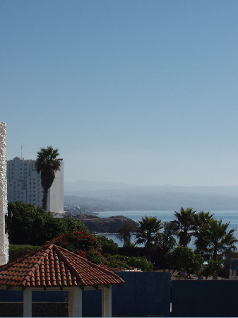 P1020020.JPG
