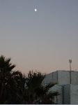 P1030004.JPG