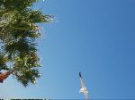 P1020005.JPG