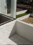 P1020005.JPG